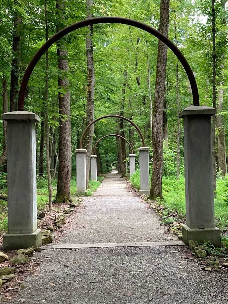 A Walk Down Into a Different World A Walk Down Into a Different World