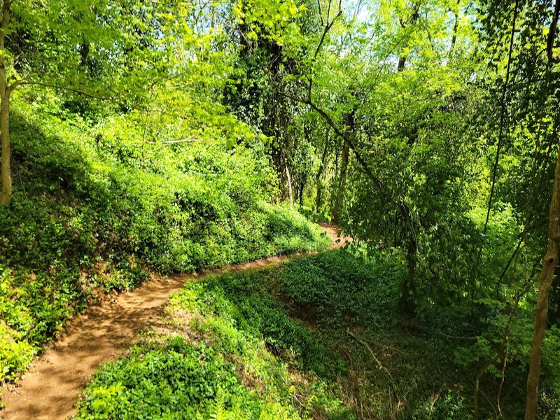 Scenic Hiking Trails That Circle The Entire Quarry Scenic Hiking Trails That Circle The Entire Quarry