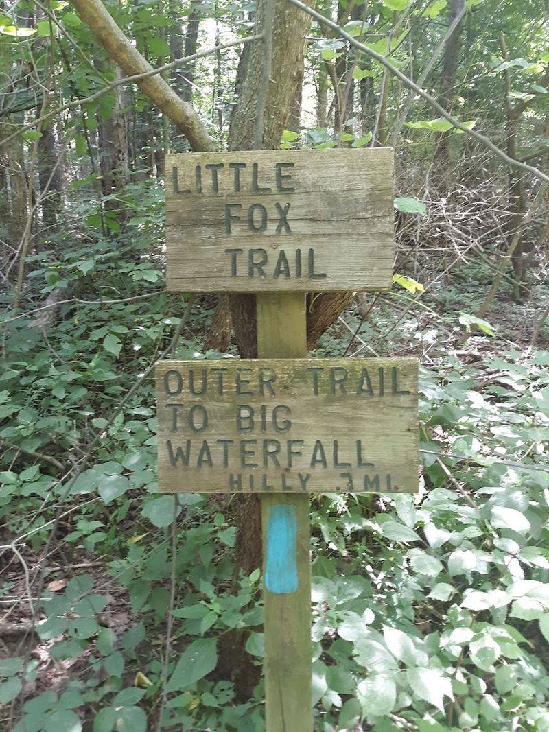 Loops, Spurs, and the Art of Choosing Your Own Hike