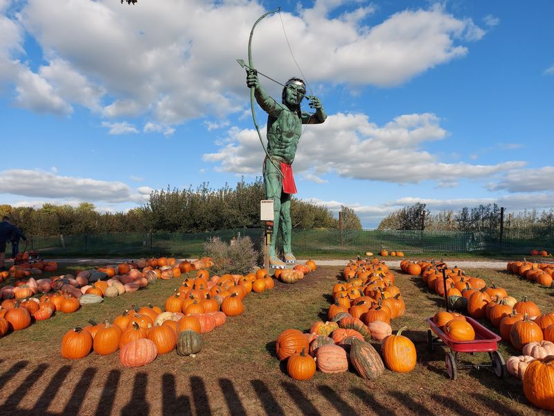 Curtis Orchard & Pumpkin Patch (Champaign)