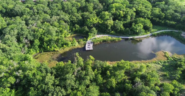8 Free Outdoor Activities in Texas That Are Absolutely Unforgettable