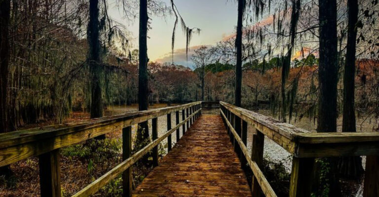 8 Peaceful Texas Escapes That Will Melt Your Stress Away