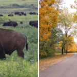 8 Underrated Missouri State Parks That Should Be Getting a Lot More Hype