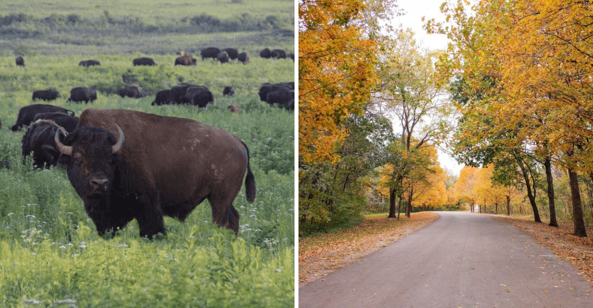 8 Underrated Missouri State Parks That Should Be Getting a Lot More Hype