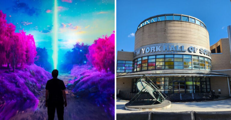 8 Wonderfully Weird Museums In New York You Have To See To Believe
