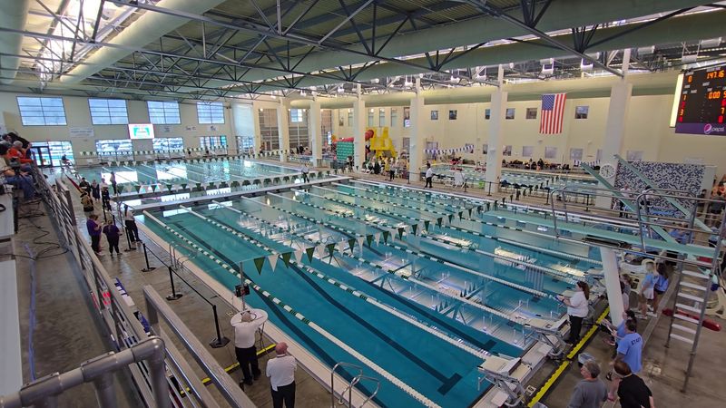 Indoor Pools That Keep the Fun Going Year-Round