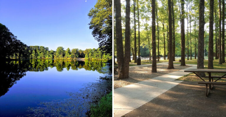 9 Overlooked Illinois State Parks That Deserve a Spot on Your Bucket List