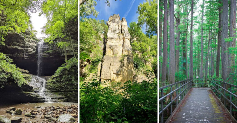 9 Shady Illinois Trails That Make Summer Hiking So Much Easier