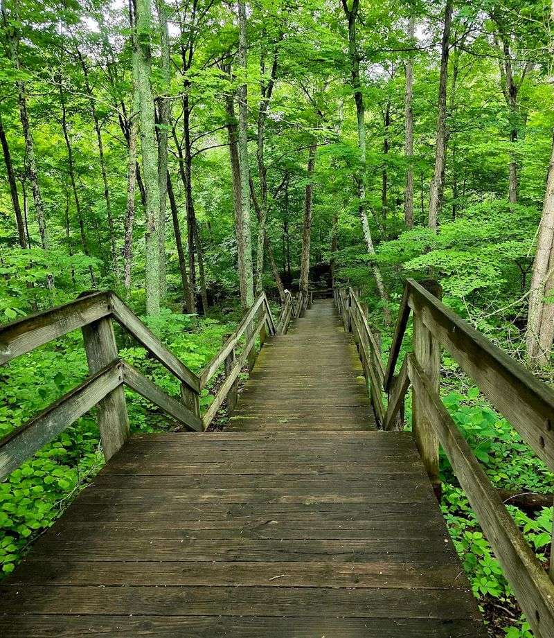 Trails, Sinkholes, and the Park’s Quieter Side
