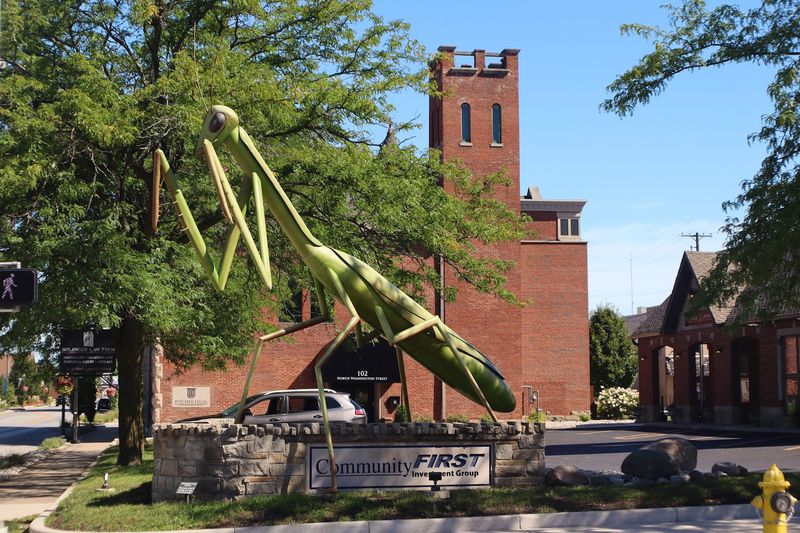 The Corner Where the Giant Bug Takes Over