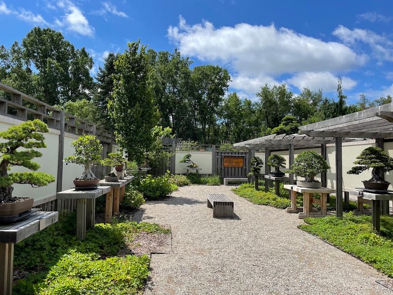 A Children's Space Designed for Curious, Muddy Hands