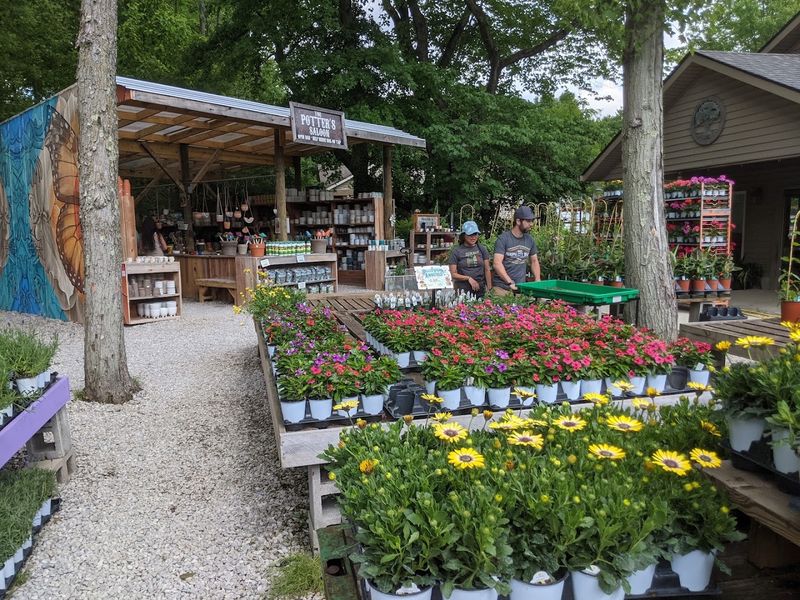A Garden Center That Feels Like an Escape
