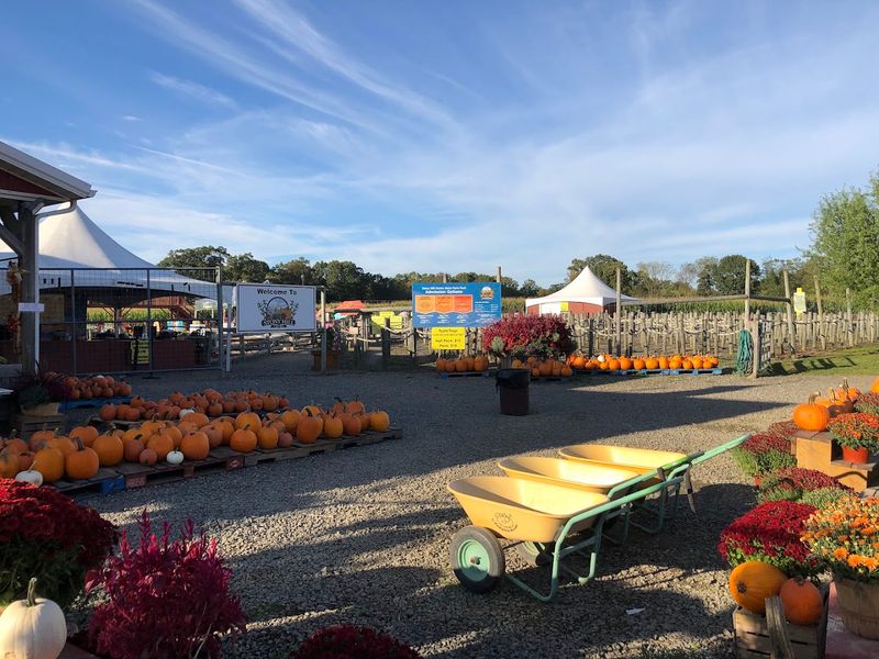 A Giant Corn Maze, Hayrides, and Family Fun Take Over the Farm Each Autumn