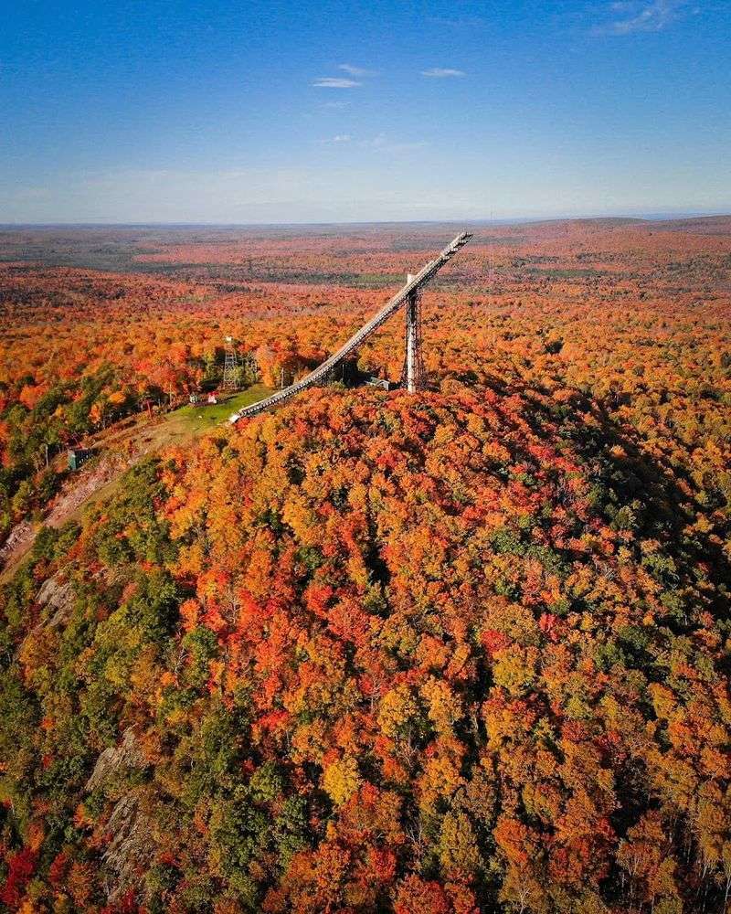 A Giant Rises Above the Trees A Giant Rises Above the Trees