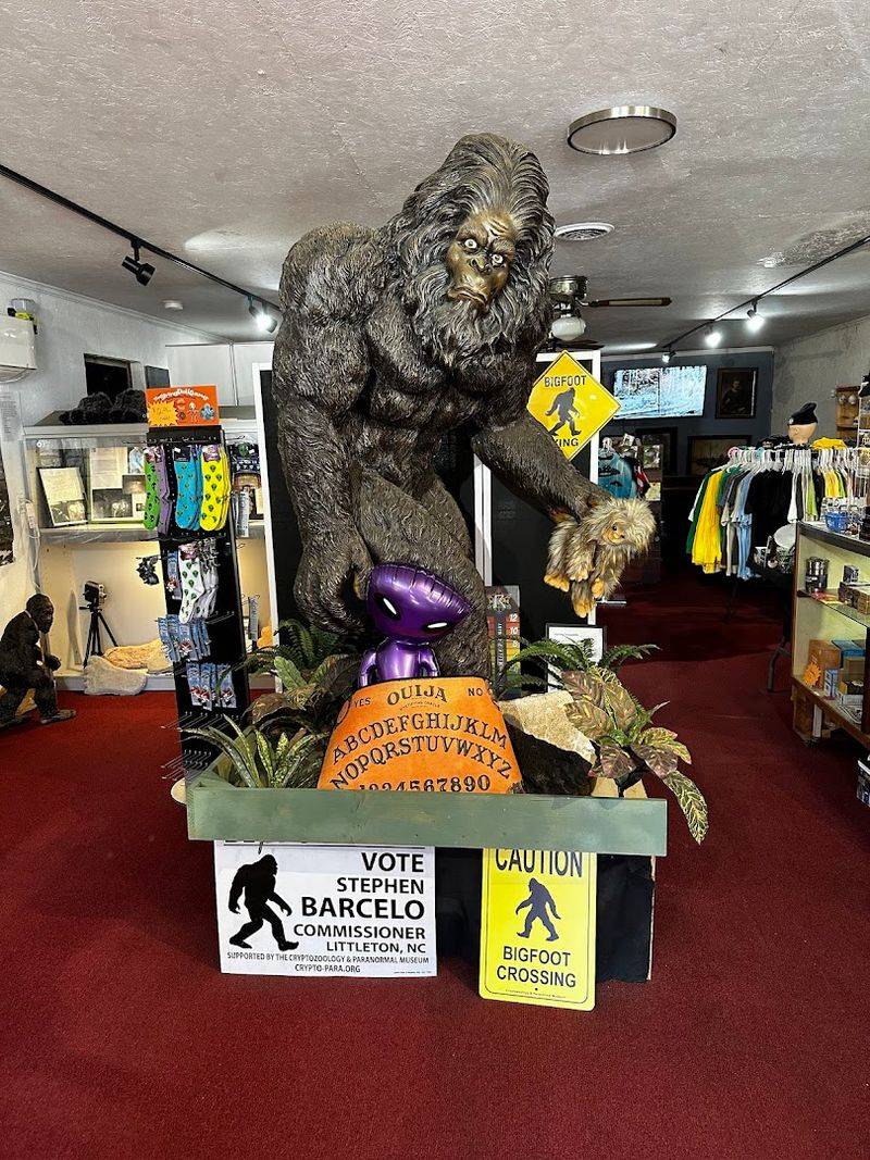 A Gift Shop That Feels Like Part Of The Attraction