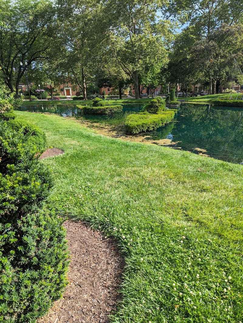 A Great Spot To Sit, Picnic, And Unwind A Great Spot To Sit, Picnic, And Unwind