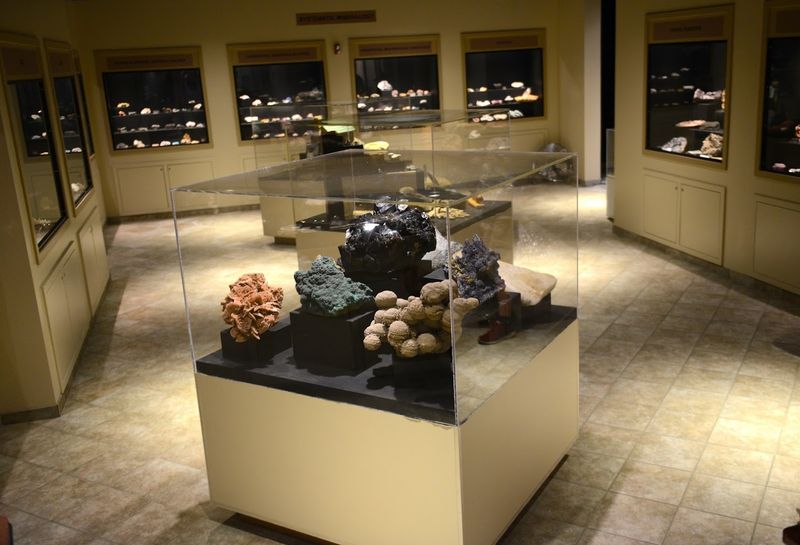 A Hidden Gallery Inside Moser Hall