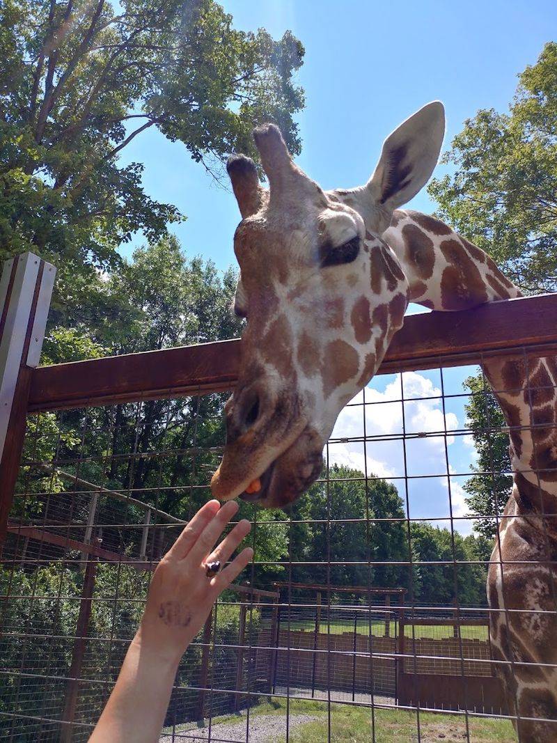 A Hidden-Gem Zoo With Big Family Appeal A Hidden-Gem Zoo With Big Family Appeal