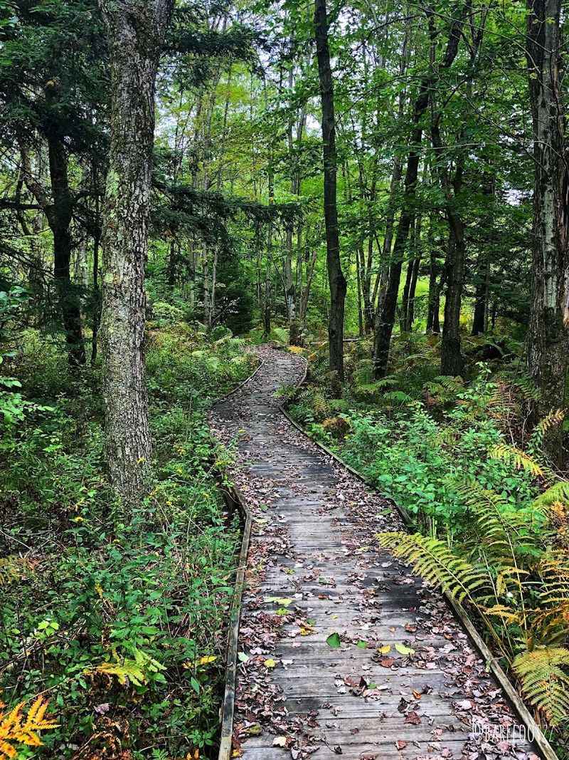 A Hidden Preserve Most Drivers Miss A Hidden Preserve Most Drivers Miss
