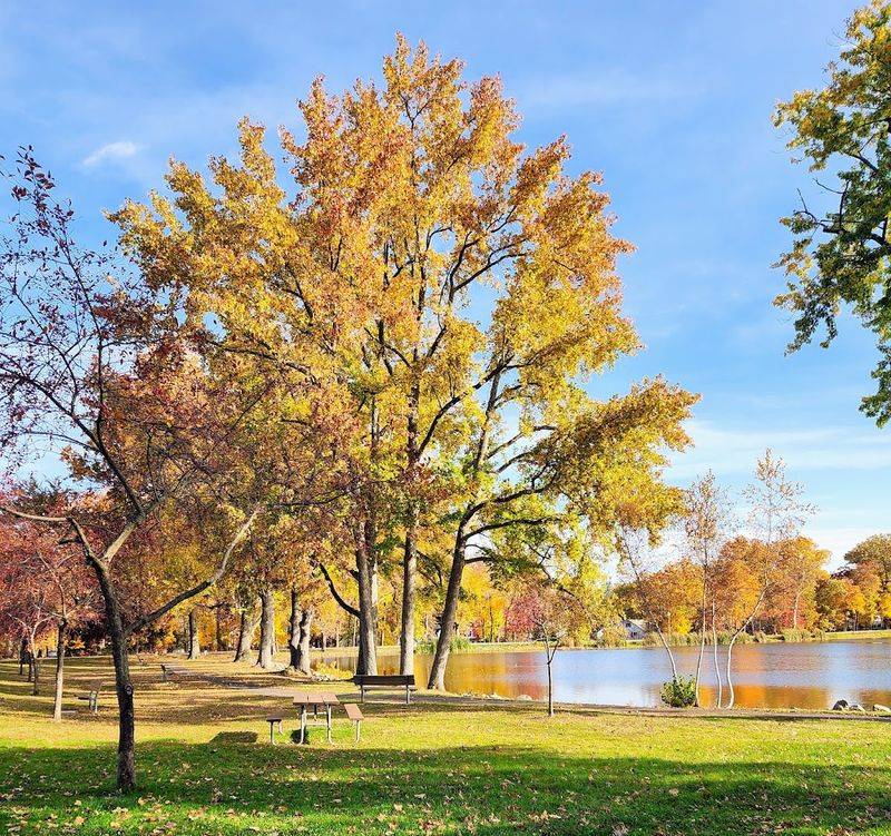 A Landscape That Feels Larger Than a Typical Town Park A Landscape That Feels Larger Than a Typical Town Park