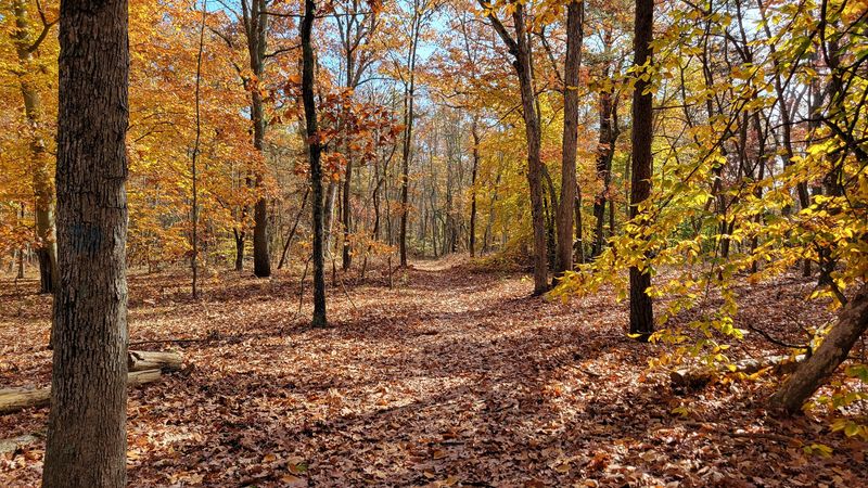 A Little-Known Burlington County Park Feels Worlds Away From Suburban New Jersey