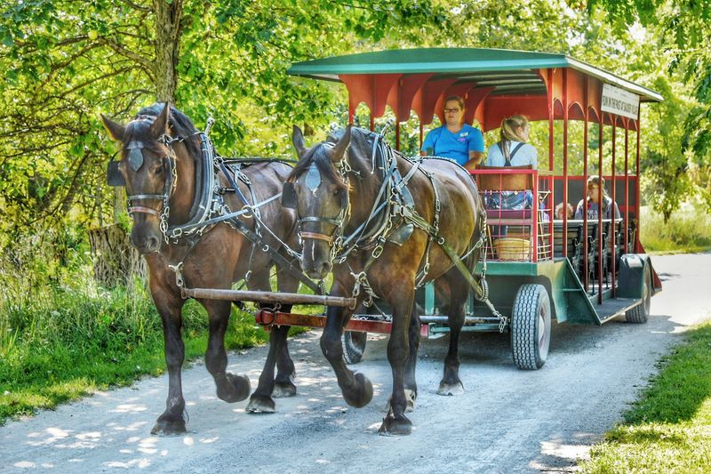 A Living History Village That Feels Wonderfully Real