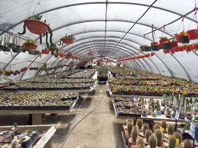 A Mind-Boggling Selection That Keeps Growing