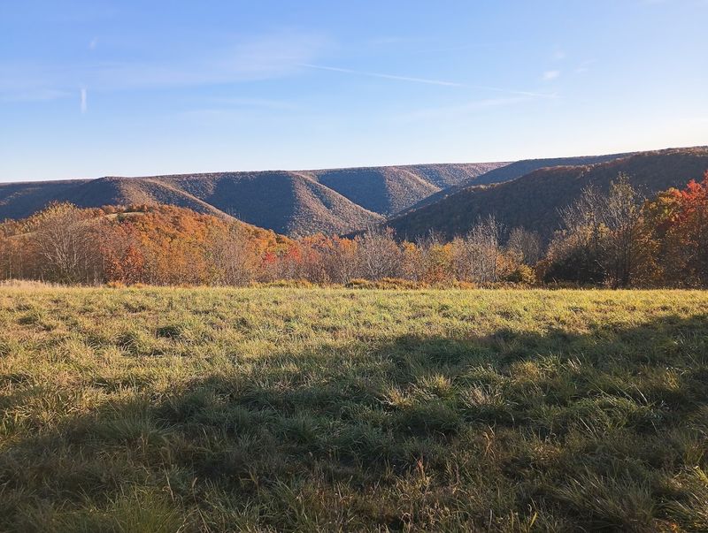 A Natural Area Means Fewer Frills and More Scenery A Natural Area Means Fewer Frills and More Scenery