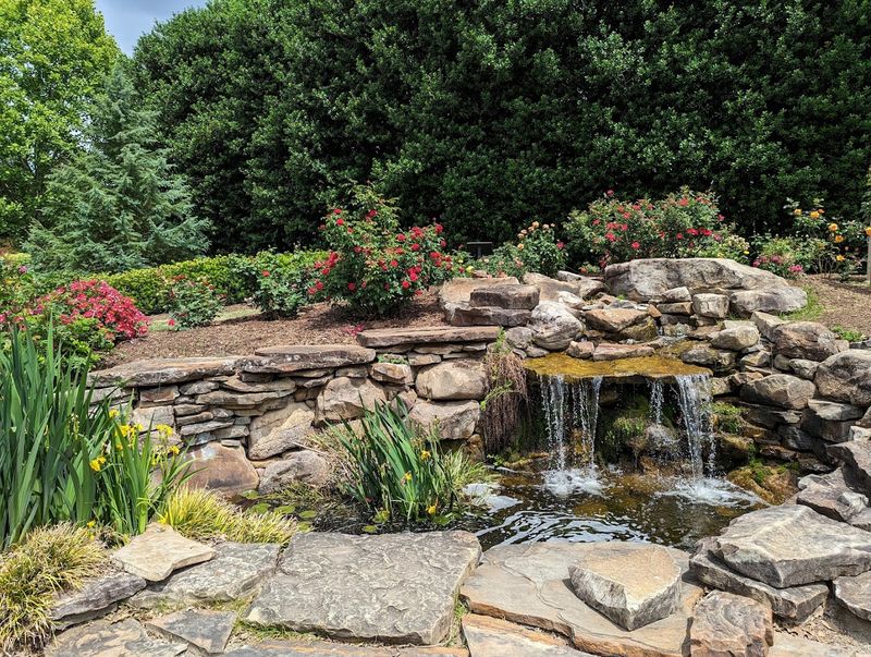 A Peaceful Garden Escape Hiding In The Middle Of The City