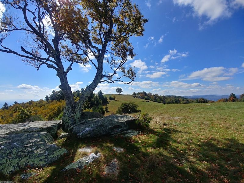 A Peaceful Place for Picnics and Slow Afternoons