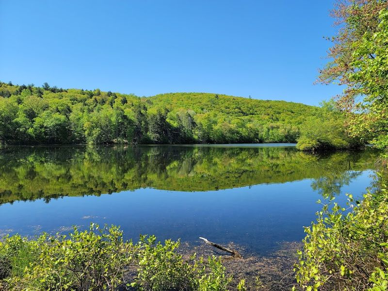 A Peaceful Pocono Setting A Peaceful Pocono Setting