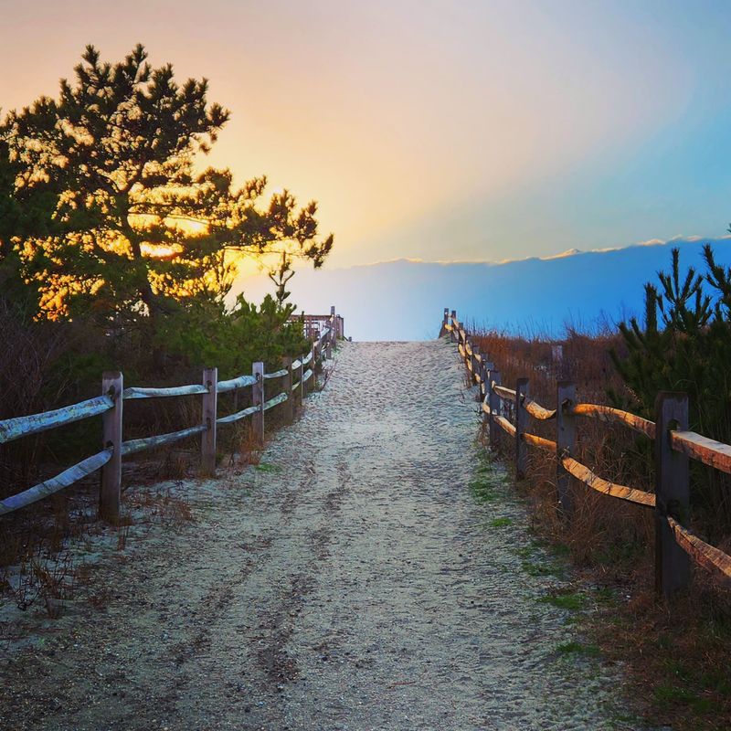 A Pine-Covered Path Makes the Walk to the Water Unforgettable A Pine-Covered Path Makes the Walk to the Water Unforgettable
