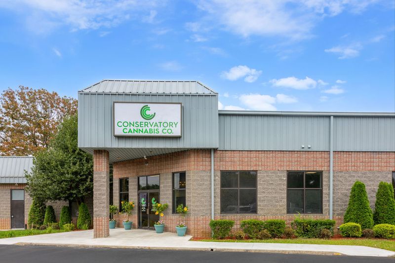 A Plain Fire Road Shopping Plaza Hides a Plant-Inspired Cannabis Escape A Plain Fire Road Shopping Plaza Hides a Plant-Inspired Cannabis Escape