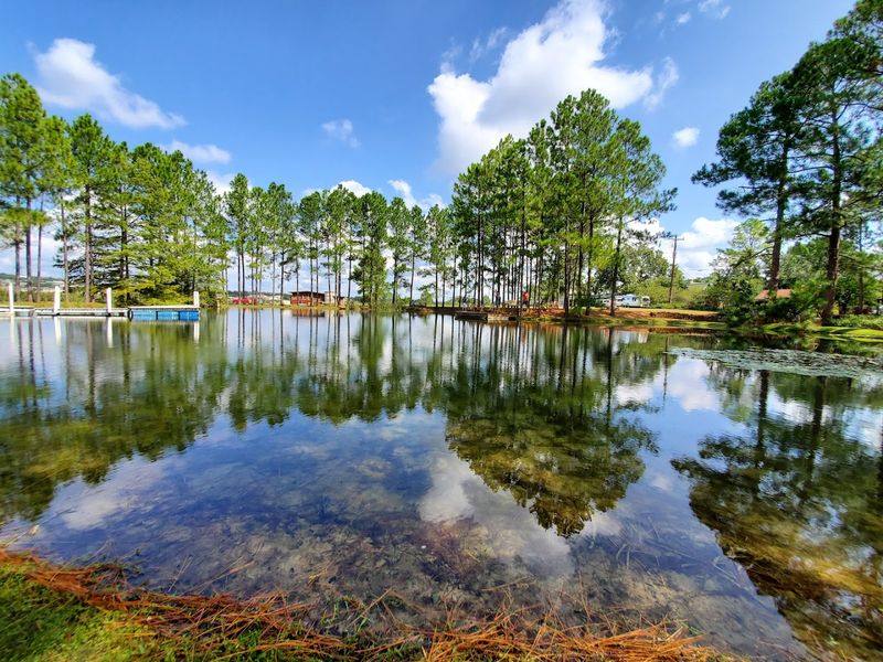 A Pond Setting So Pretty You'll Forget to Check Your Phone A Pond Setting So Pretty You'll Forget to Check Your Phone
