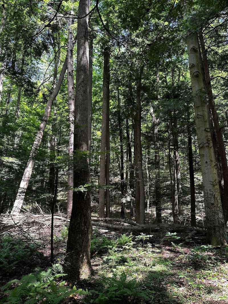 A Preserve With Deep Local History And Real Conservation Value