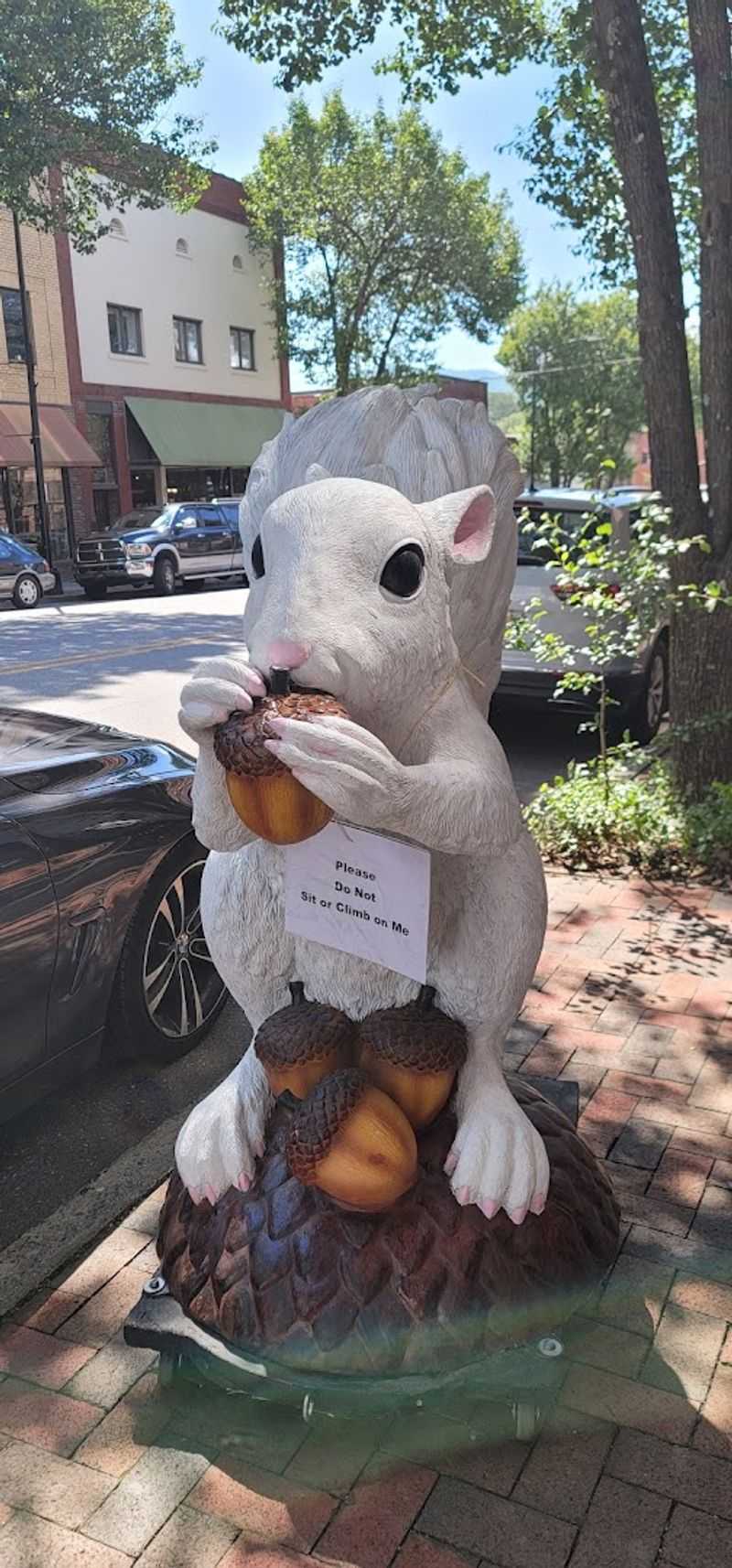 A Rare White Squirrel Colony Lives Right in Town A Rare White Squirrel Colony Lives Right in Town