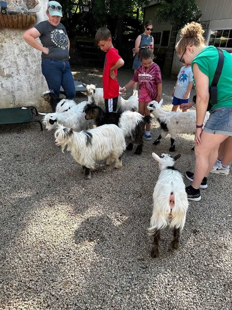 A Rescue Sanctuary With Real Heart A Rescue Sanctuary With Real Heart