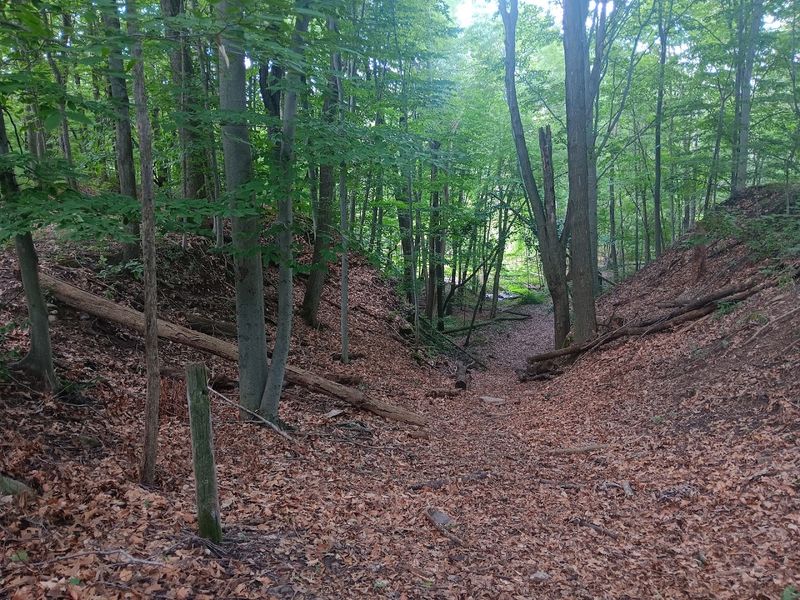 A Short Hike With Constant Payoff A Short Hike With Constant Payoff