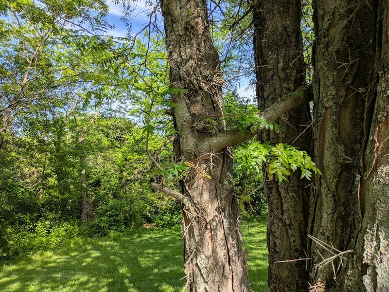 A Short Trail With More Charm Than You Expect A Short Trail With More Charm Than You Expect