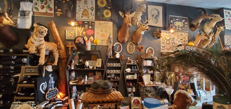 A Small Shop With Big Personality A Small Shop With Big Personality