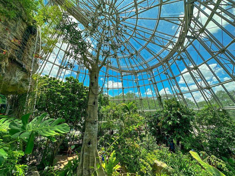 A Three-Story Rainforest Right in the Heart of Houston A Three-Story Rainforest Right in the Heart of Houston
