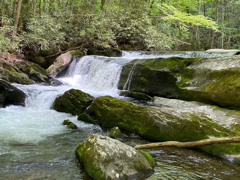 A Waterfall Lover's Dream Trail