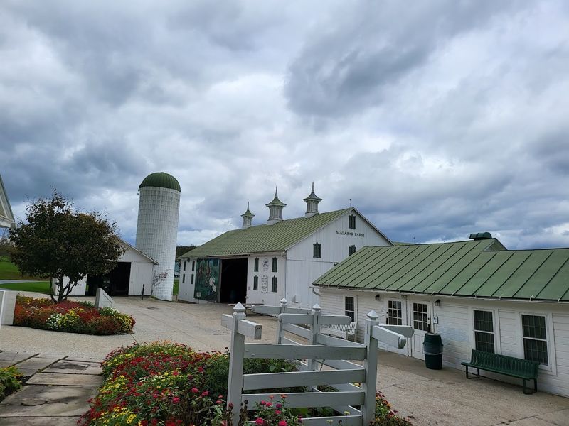 A Working Farm With Real Everyday Charm A Working Farm With Real Everyday Charm