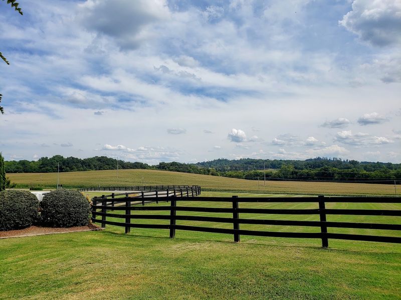 A Working Tennessee Dairy Farm With a Delicious Side A Working Tennessee Dairy Farm With a Delicious Side