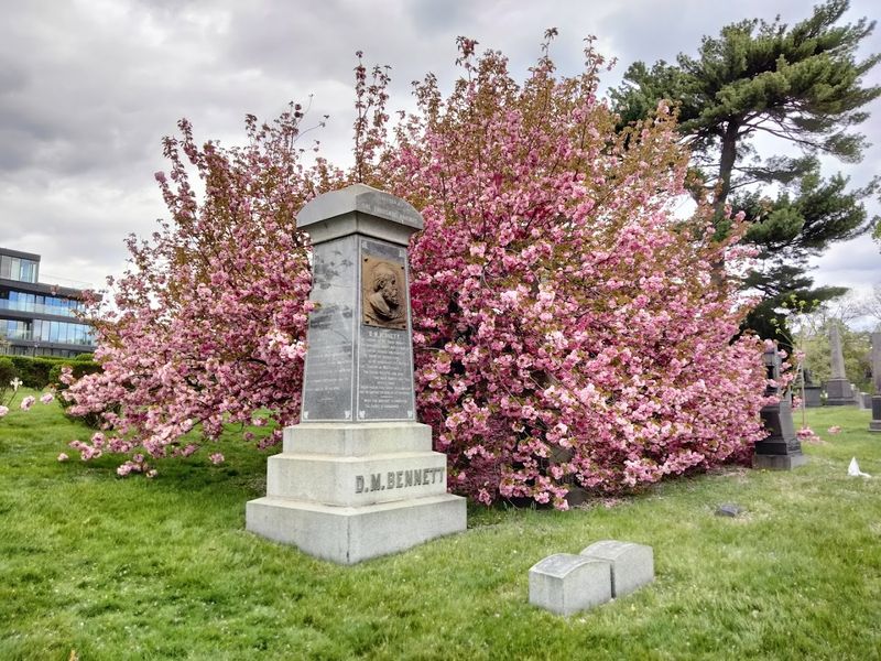 A certified arboretum full of life
