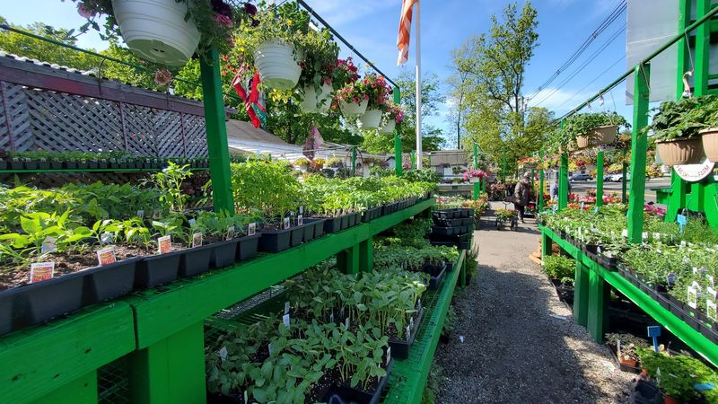 A family-run spot with old-fashioned garden center charm A family-run spot with old-fashioned garden center charm