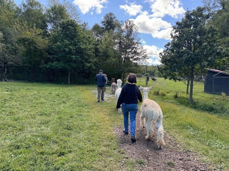 A first look at the farm that feels instantly comforting