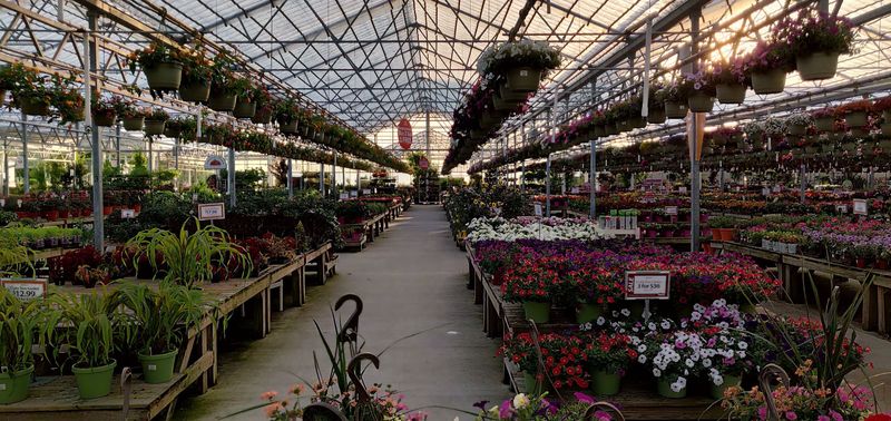 A greenhouse that feels like an outing