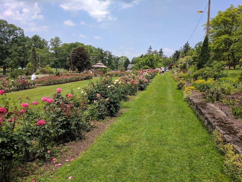 A hidden garden that feels like a real discovery
