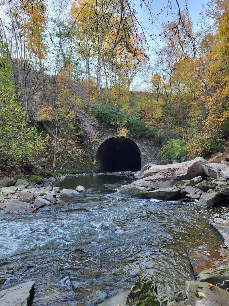 A hidden park that feels far from the city